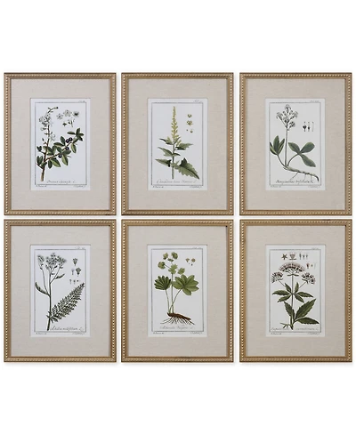 Uttermost Green Floral Botanical Study Wall Art, Set of 6