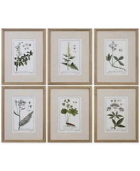 Uttermost Green Floral Botanical Study Wall Art, Set of 6