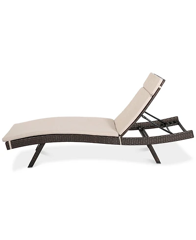 Pietro Outdoor Chaise Lounge with Cushion