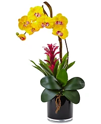 Nearly Natural Orchid & Bromeliad Artificial Arrangement in Glossy Black Cylinder Vase