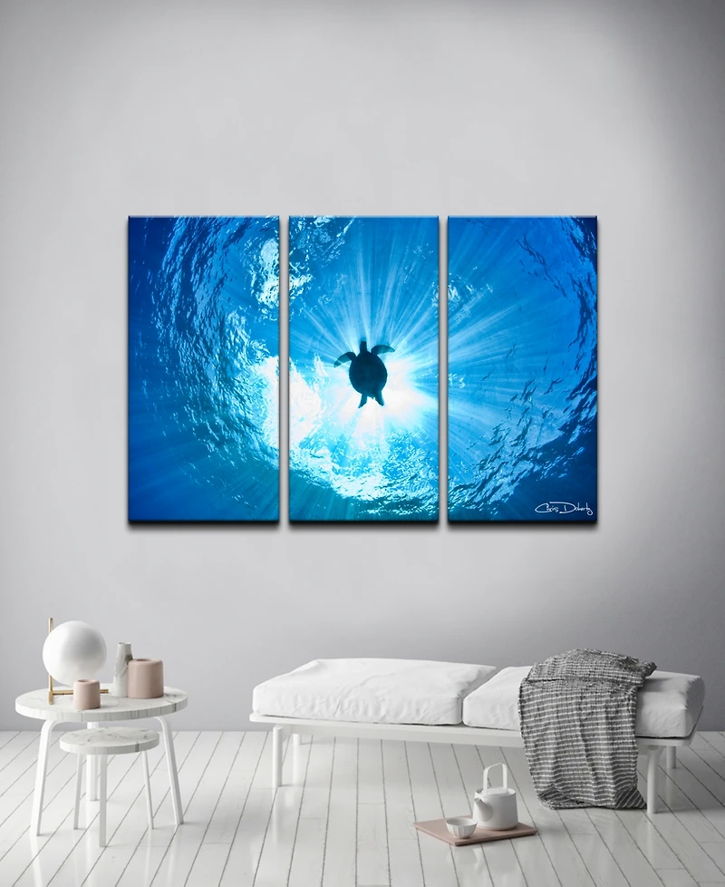 Ready2HangArt 'Sea Turtle' 3-Pc. Canvas Art Print Set