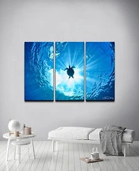 Ready2HangArt 'Sea Turtle' 3-Pc. Canvas Art Print Set
