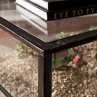 Terrarium Display Cocktail Table