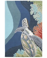 Liora Manne' Ravella 2257 Akumal Blue 2' x 3' Indoor/Outdoor Area Rug