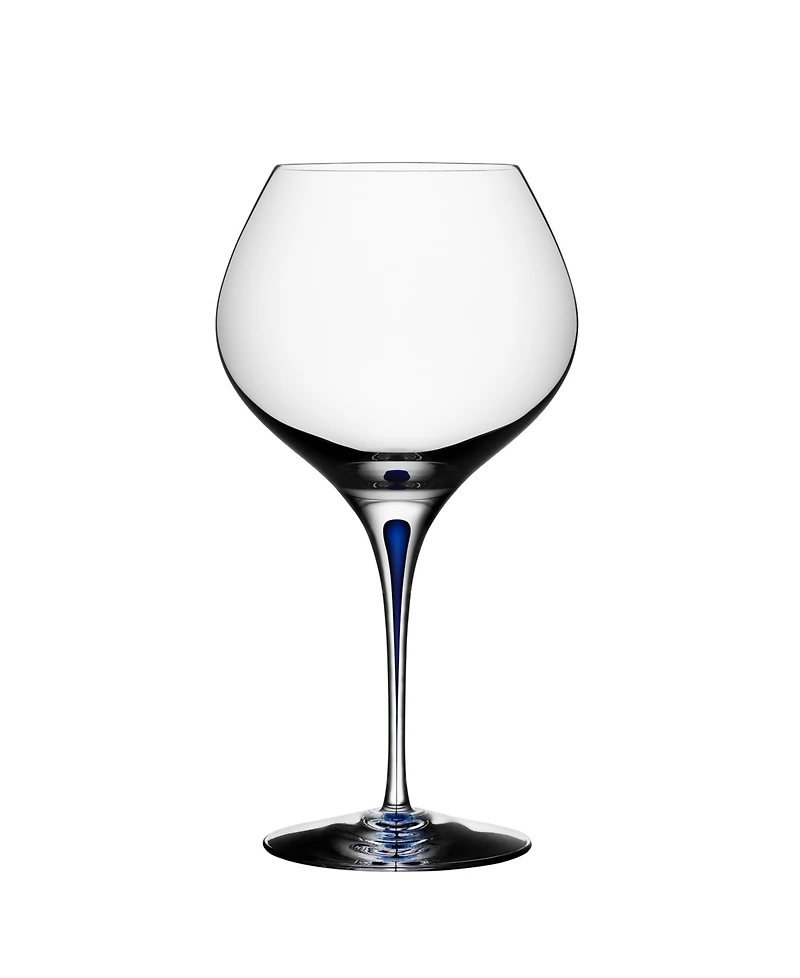 Orrefors Intermezzo Blue Bouquet Glass