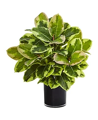 Nearly Natural Artificial Rubber Plant in Glossy Cylinder - Real Touch
