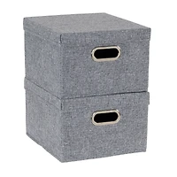 Household Essentials Storage Bins with Lids and Chromed Grommet Handles