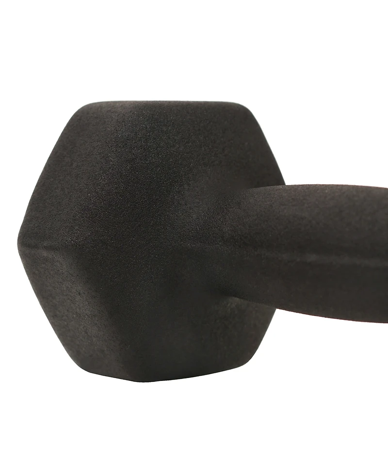 Sunny Health & Fitness Neoprene Dumbbell, 10LBs (Pair)