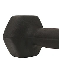 Sunny Health & Fitness Neoprene Dumbbell, 10LBs (Pair)