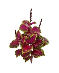 Nearly Natural 23" Coleus Bush Artificial Plant (Set of 6)