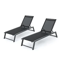 Myers Outdoor Chaise Lounge, Set of 2