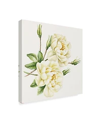 Janneke Brinkman-Salentijn 'Single Yellow Rose' Canvas Art - 14" x 14"