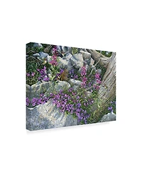 Jeff Tift 'Squirrel Painting' Canvas Art - 14" x 19"