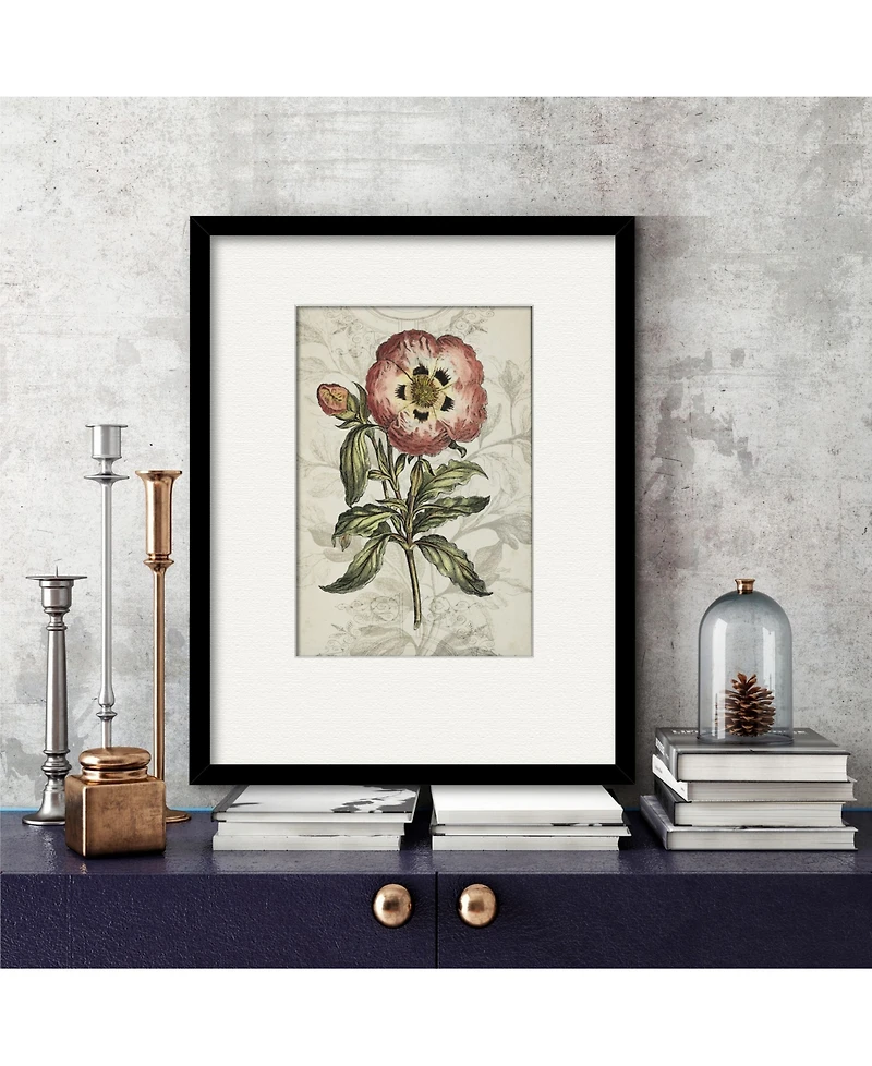 Courtside Market Treasures of The Earth Ii 16" x 20" Framed and Matted Art
