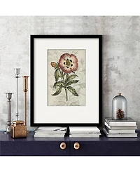 Courtside Market Treasures of The Earth Ii 16" x 20" Framed and Matted Art