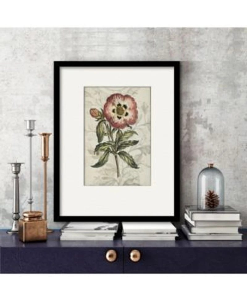 Courtside Market Treasures Of The Earth Ii Framed Matted Art Collection