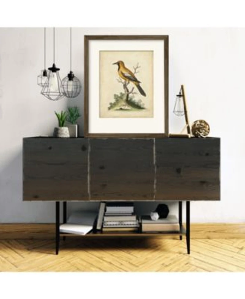 Courtside Market Edwards Gold Finch Framed Matted Art Collection