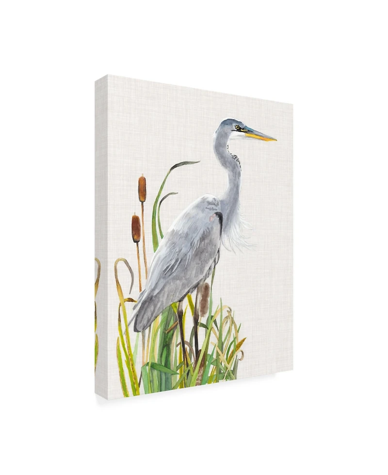 Naomi Mccavitt Water Birds and Cattails I Canvas Art - 15" x 20"
