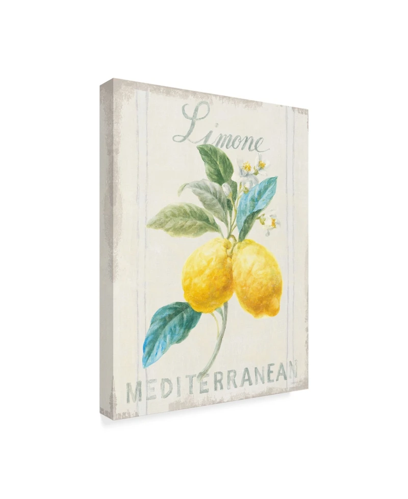 Danhui Nai Floursack Lemon Iii Canvas Art - 20" x 25"