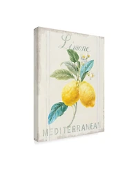 Danhui Nai Floursack Lemon Iii Canvas Art - 20" x 25"