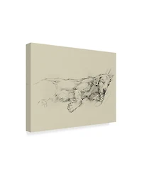 Ethan Harper Dog Days Iii Canvas Art - 37" x 49"