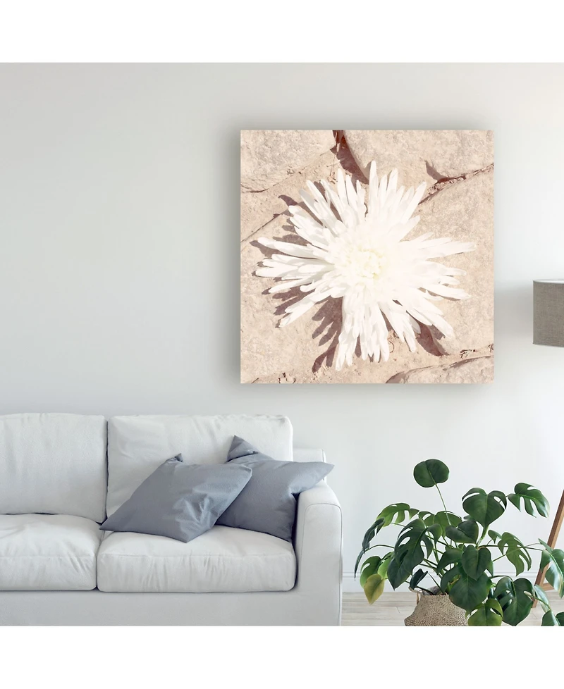 Jason Johnson Floral Canvas Art - 19.5" x 26"