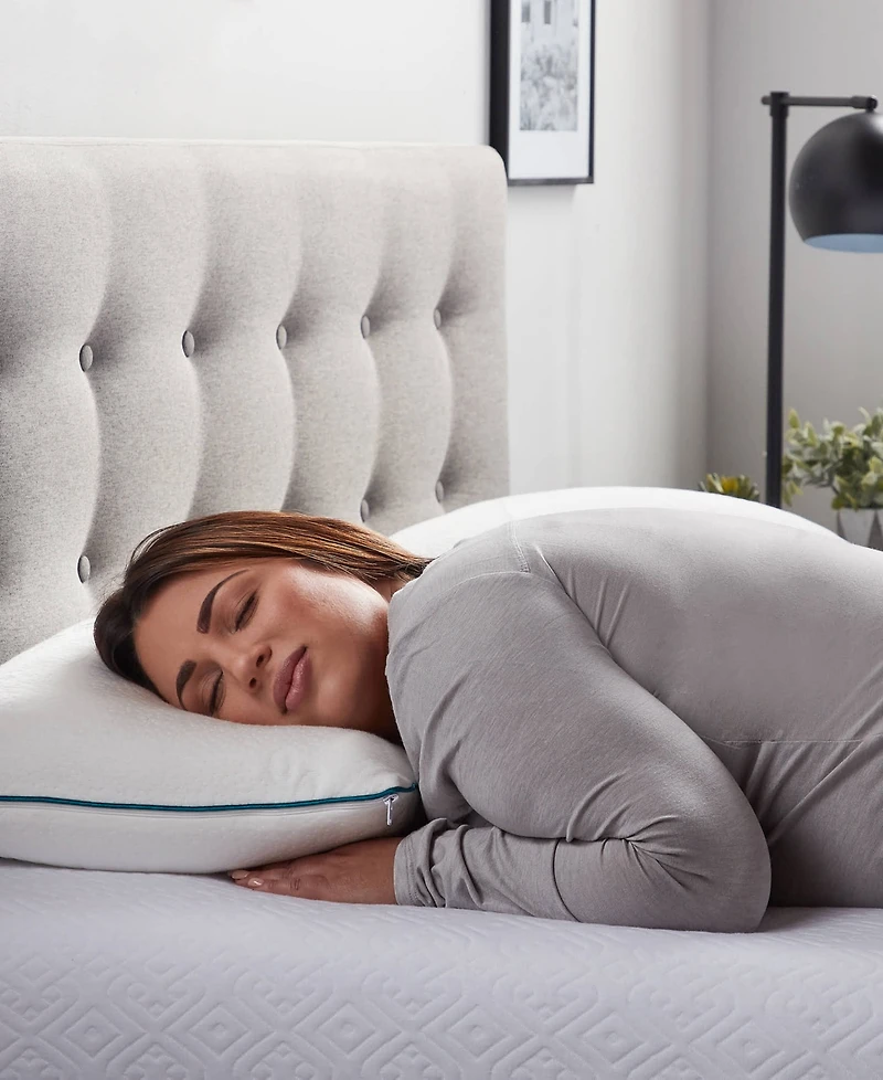 Lucid Dream Collection Shredded Memory Foam 2-Pack Pillow, King