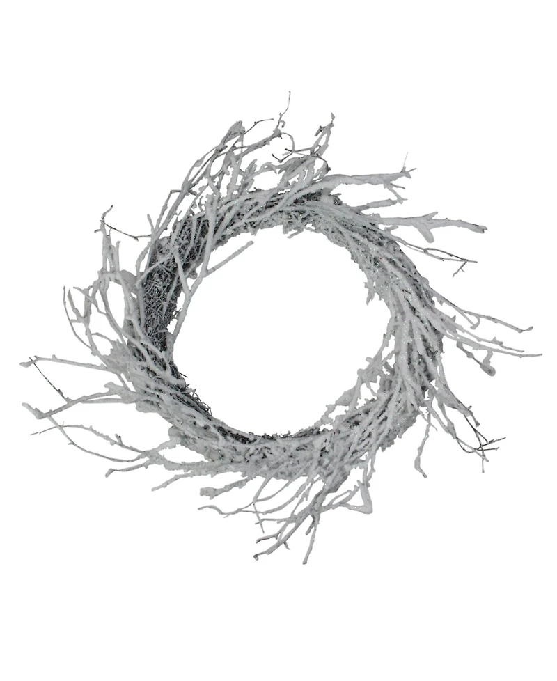 Northlight 24" Snow Flocked and Iridescent Glitter Twig Artificial Christmas Wreath - Unlit