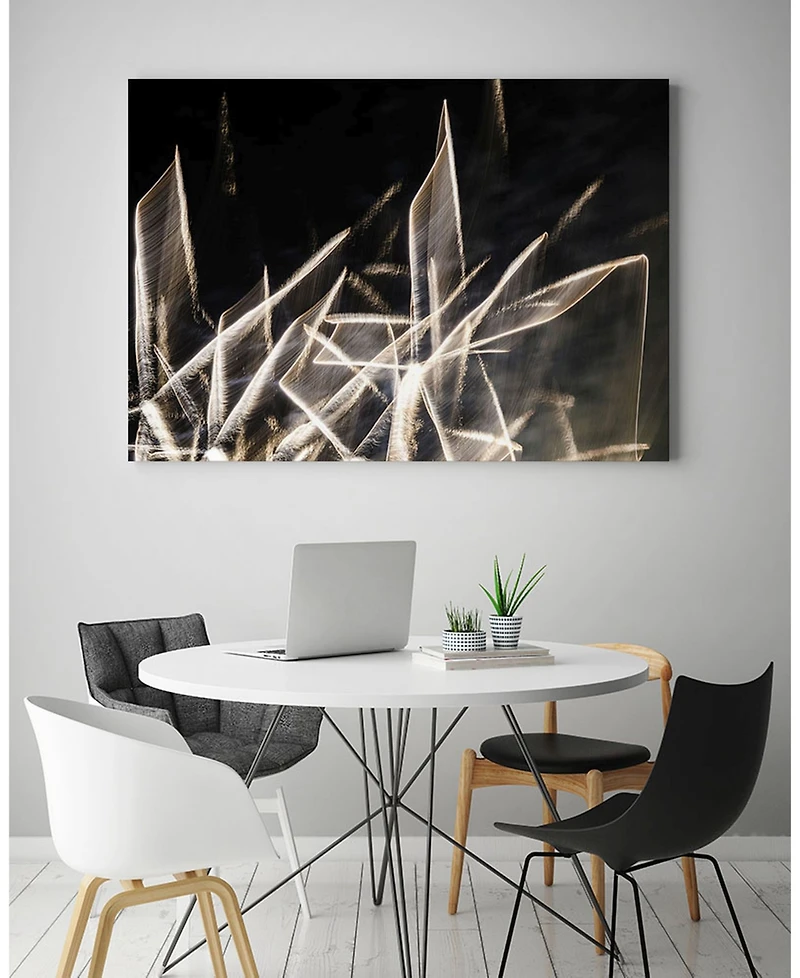 Giant Art 20" x 16" Chiffon Light Sculpture Museum Mounted Canvas Print