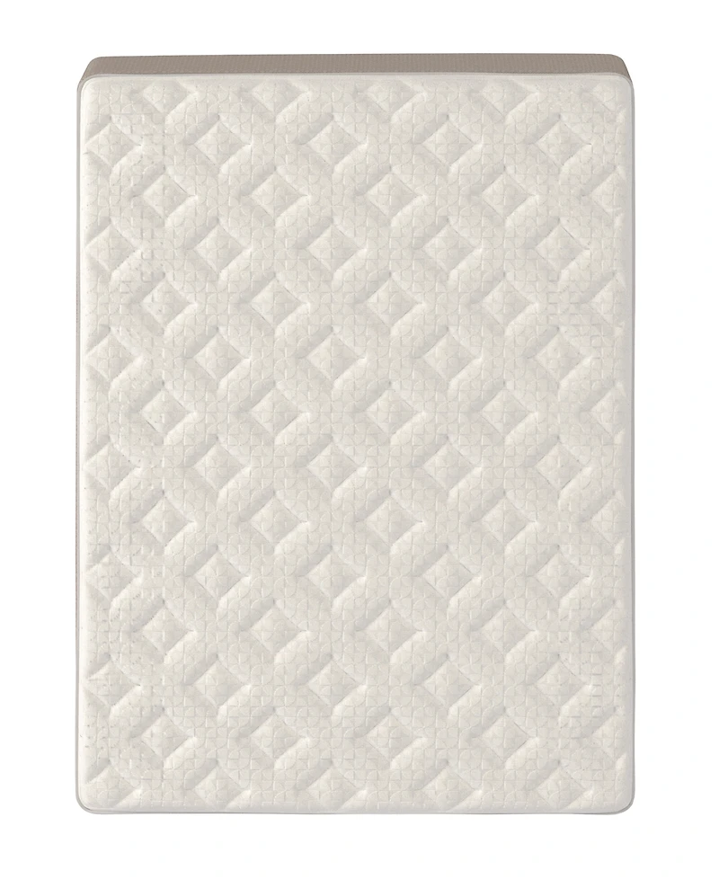 Dusk & Dawn 12" Medium Plush Mattress- Queen