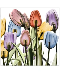 Empire Art Direct Tulip Scape x-ray Ii Frameless Free Floating Tempered Glass Panel Graphic Wall Art, 24" x 24" x 0.2"