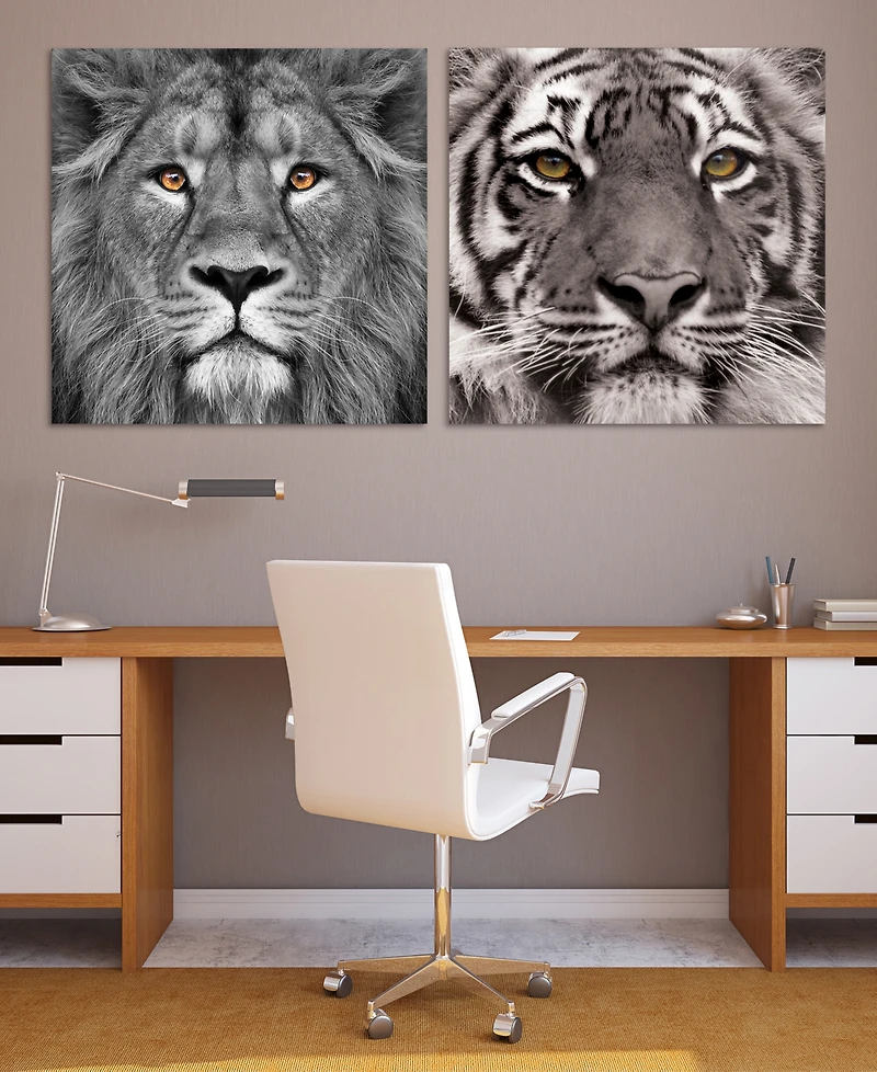 Empire Art Direct King of the Jungle Lion Eye of the Tiger Frameless Free Floating Tempered Glass Panel Graphic Wall Art, 38" x 38" x 0.2"