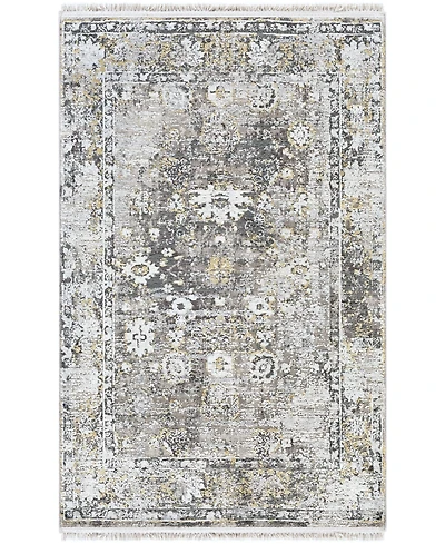 Surya Solar Sor-2308 Charcoal 2' x 3' Area Rug