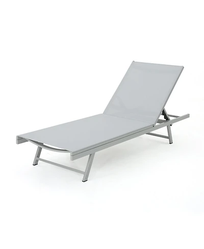 Noble House Salton Outdoor Chaise Loungers with Frame, Set of 2