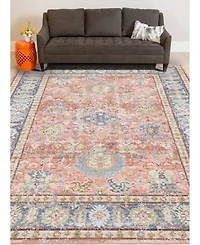 Amer Rugs Century Cen-16 Coral 5'3" x 7'3" Area Rug