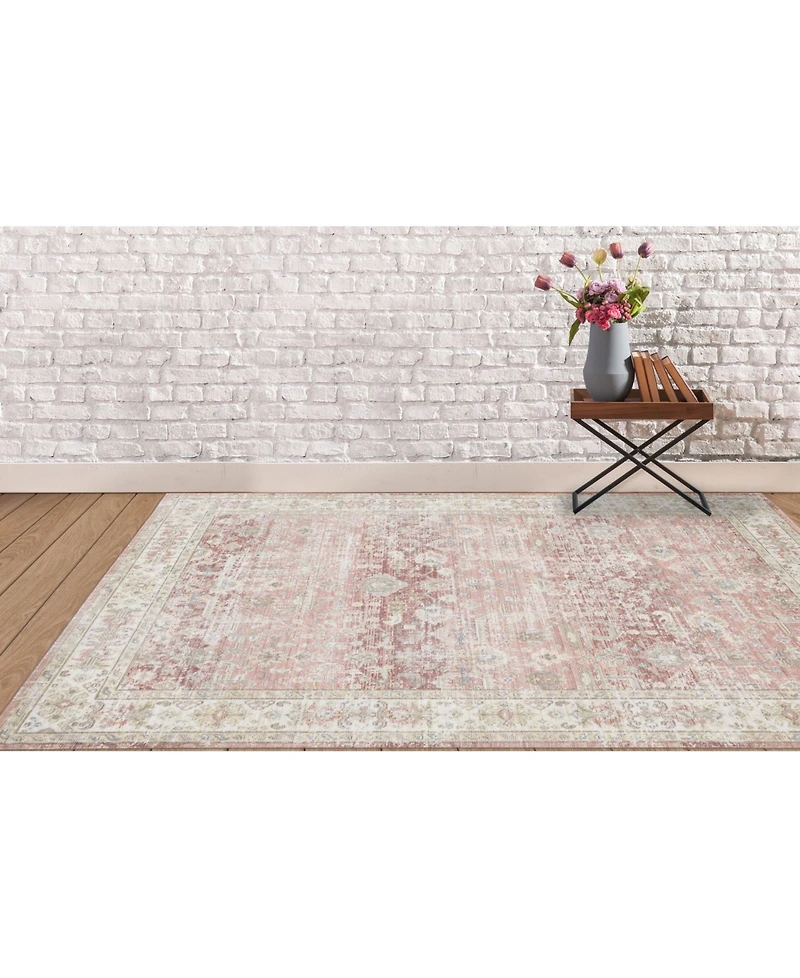 Amer Rugs Century Cen-8 Salmon 2'6" x 8' Runner Rug