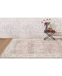 Amer Rugs Century Cen-8 Salmon 2'6" x 8' Runner Rug