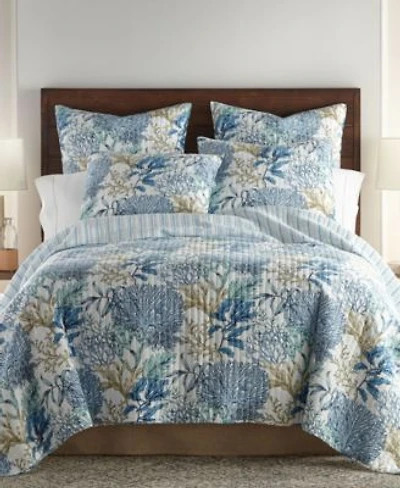 Levtex Mahina Quilt Sets