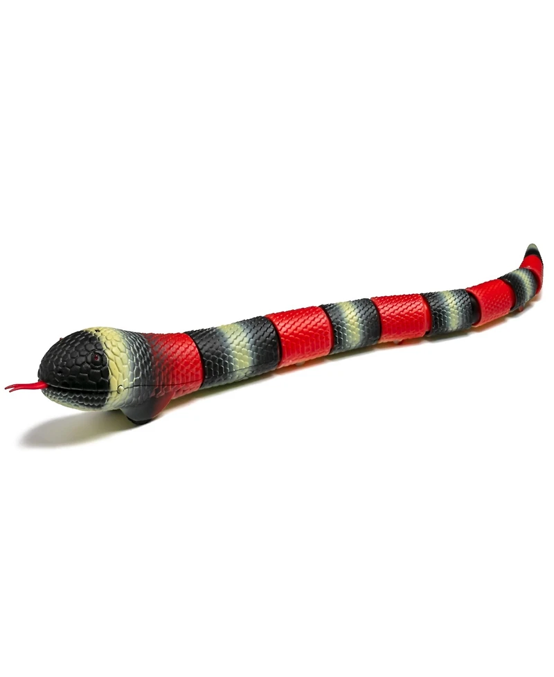Discovery Kids Toy Remote Control King Snake