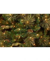 National Tree Company 9' Carolina Pine Tree with 900 Clear Lights