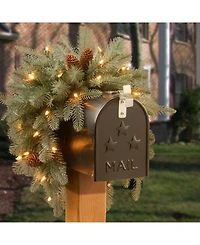 National Tree Company 36" Frosted Arctic Spruce Mailbox Swag with Battery Operated Warm White Led Lights