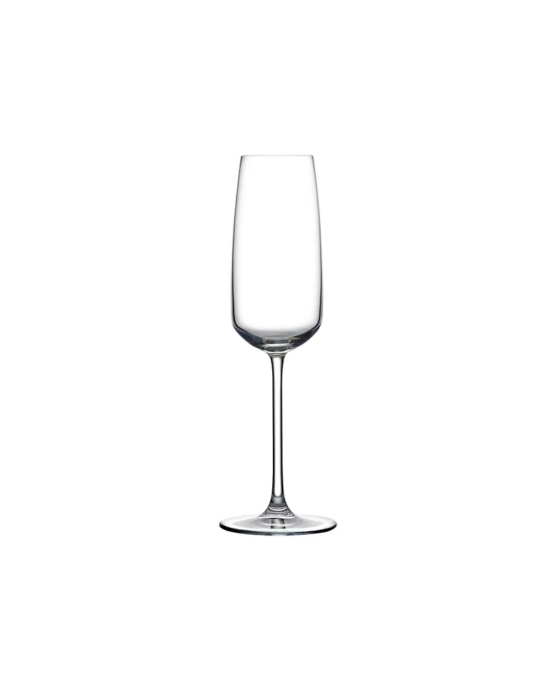 Nude Glass Mirage Champagne Glasses, Set of 2
