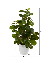16" Peperomia Artificial Plant in Decorative Planter