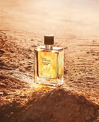 HERMES Terre d'Hermes Eau Intense Vetiver, 3.3-oz.