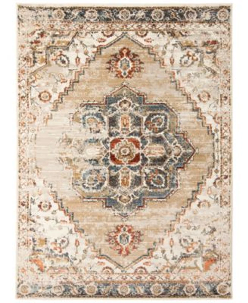 Allure Ara Area Rug