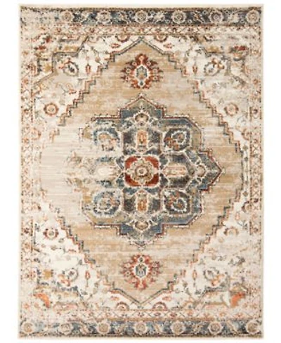 Allure Ara Area Rug
