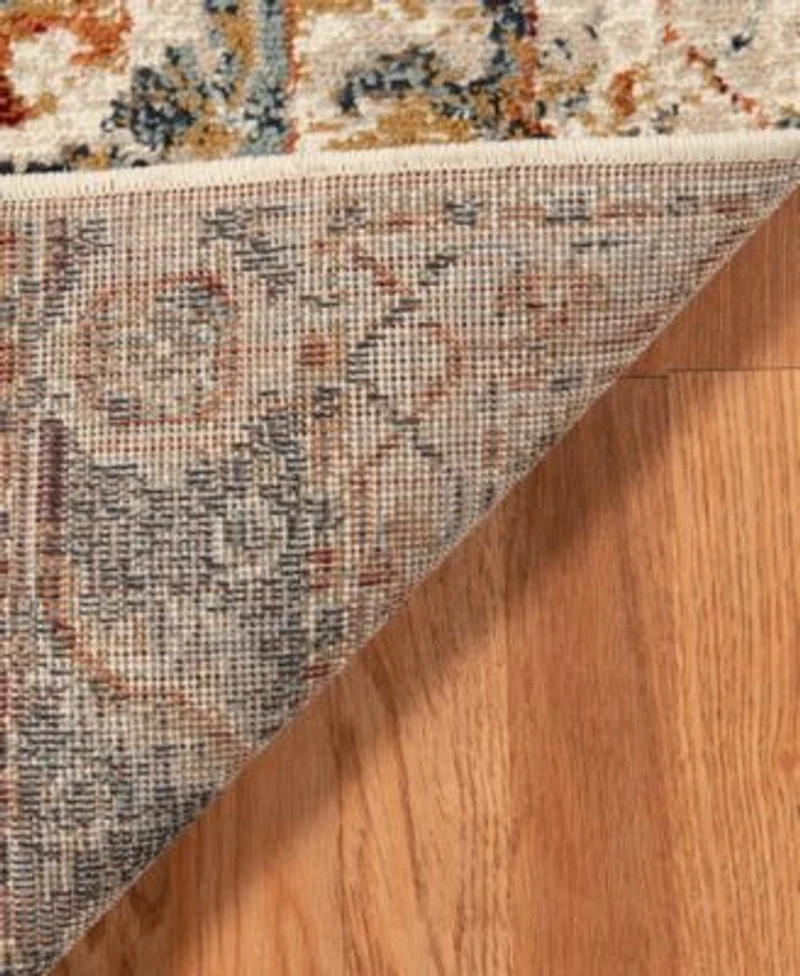 Allure Ara Area Rug