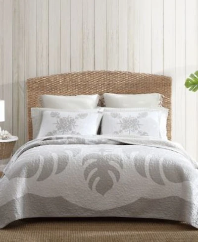 Tommy Bahama Home Molokai Embroidered Quilts