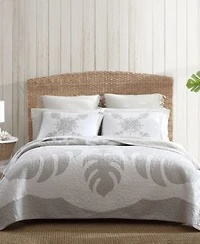 Tommy Bahama Home Molokai Embroidered Quilts
