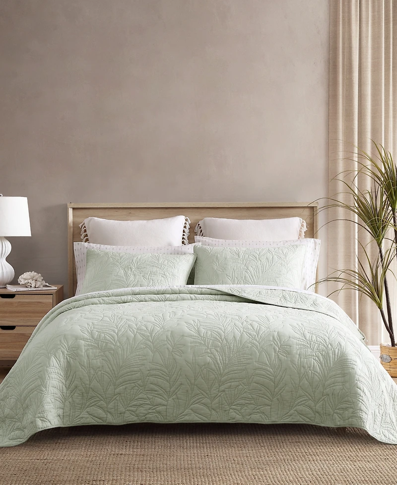 Tommy Bahama Home Solid Costa Sera Cotton Sham, Standard